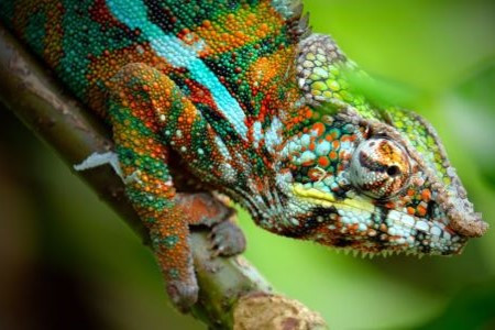 Nachhaltige Behandlung